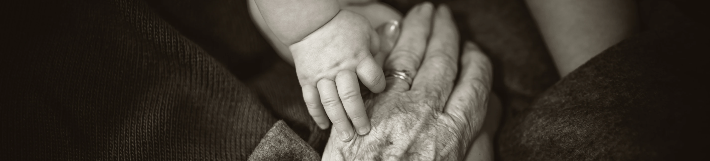 Öröklési jogi szakterület